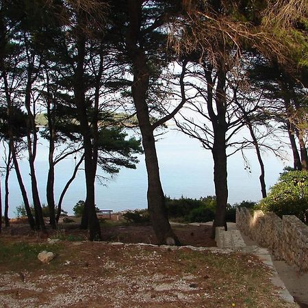 Apartments Matkov - Quite And Peaceful Location Jelsa  Luaran gambar