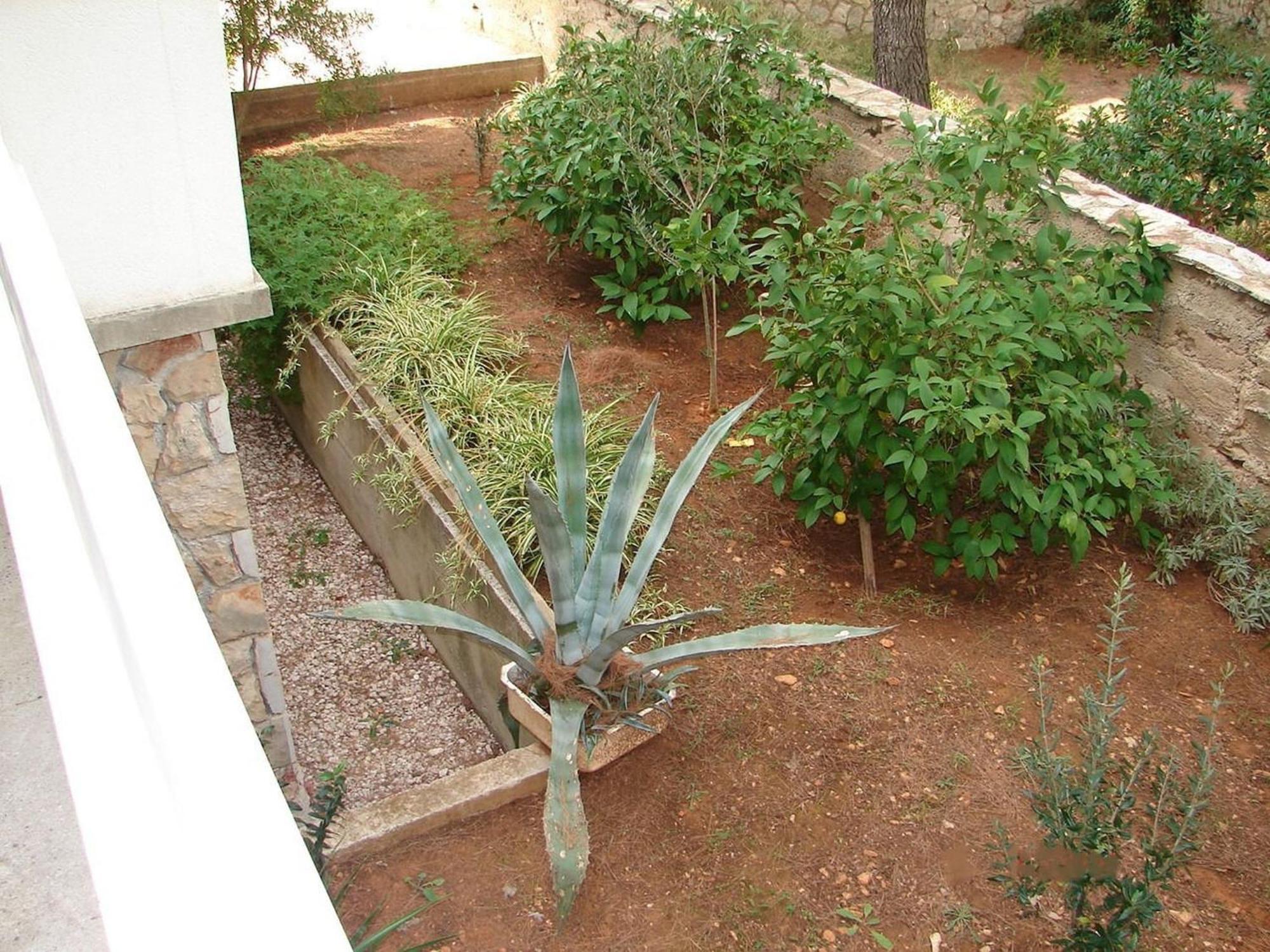 Apartments Matkov - Quite And Peaceful Location Jelsa  Luaran gambar